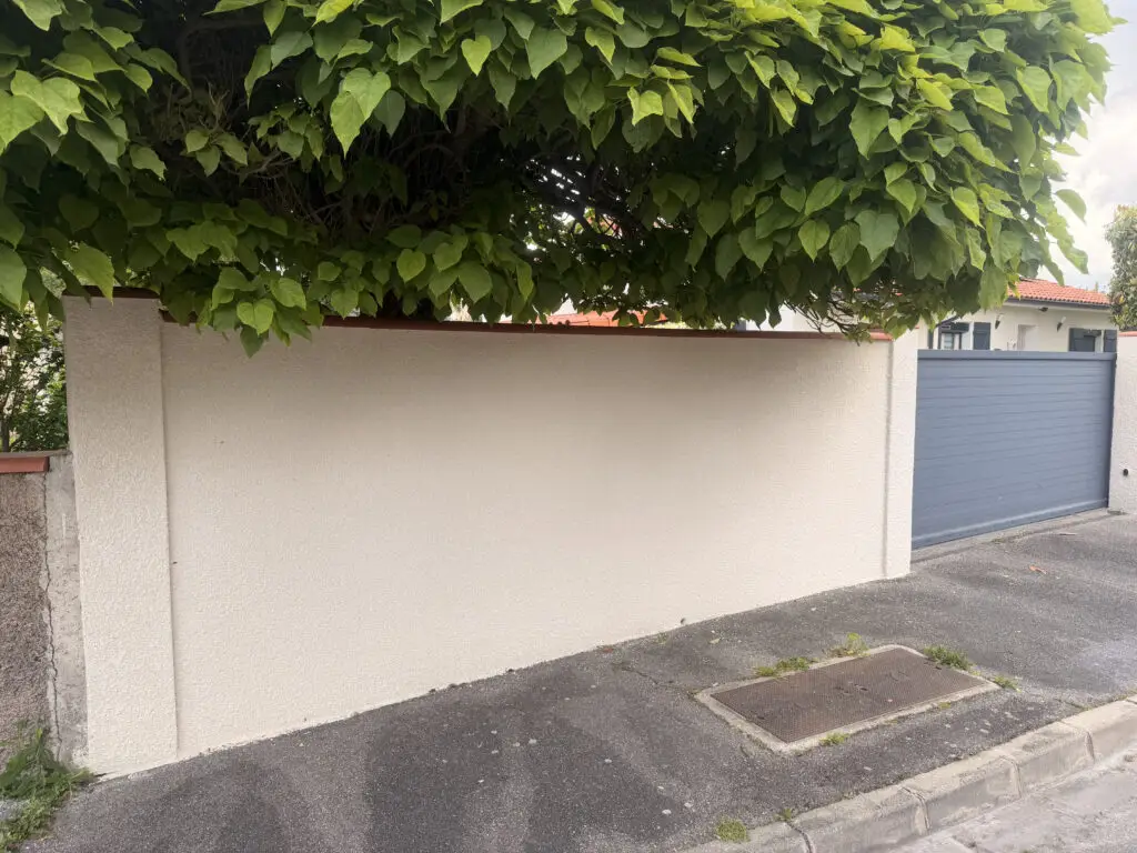 Façadier 31 Piquage mur